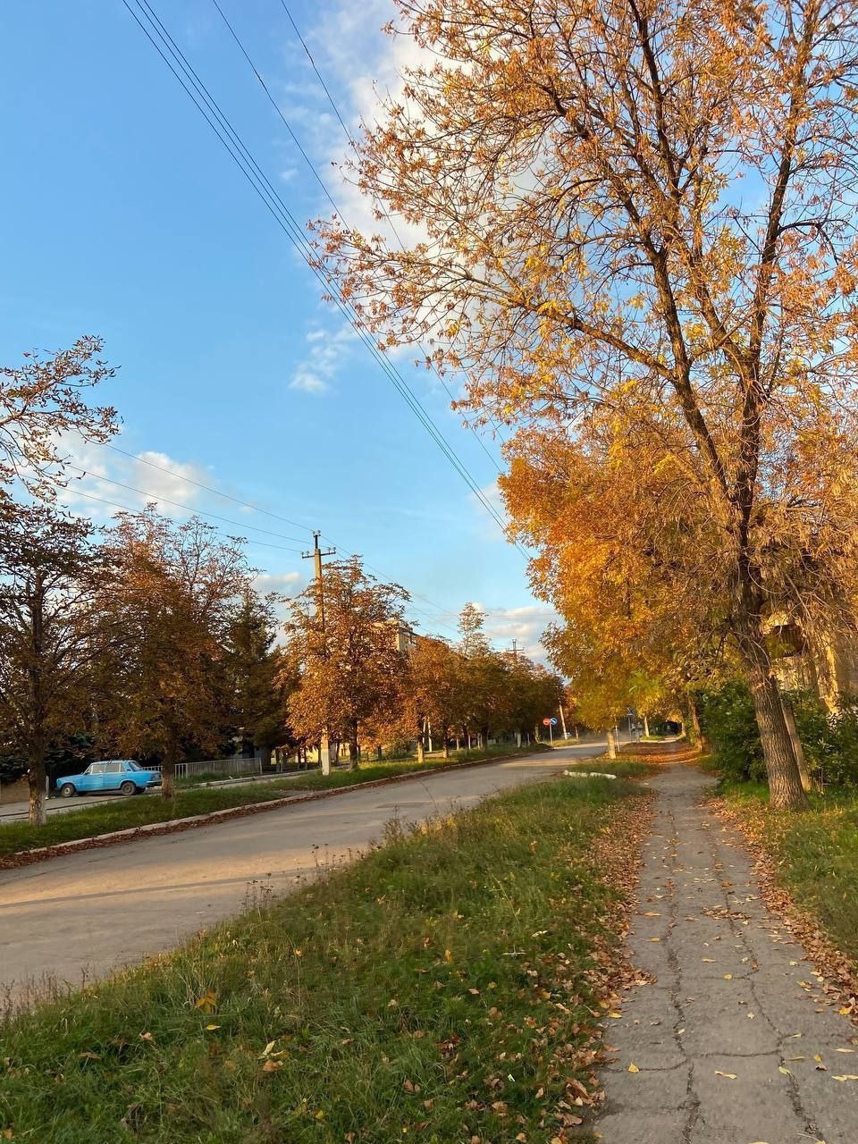 Осень в кадре.